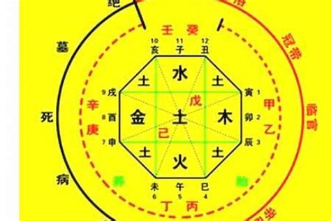 2024出生八字|生辰八字算命、五行喜用神查询（免费测算）